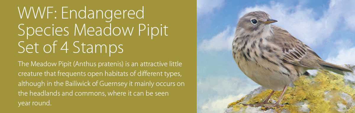 WWF Endangered Species Meadow Pipit